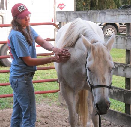 Alternative Equine Energy and Bodywork Serving Asheville, North Carolina and Surrounding Areas
